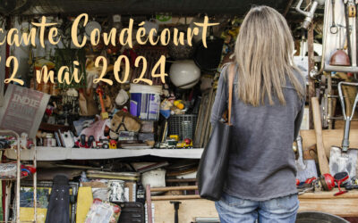 Stationnement-circulation brocante