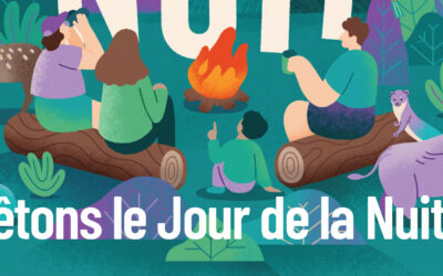 Fêtons le jour de la nuit !