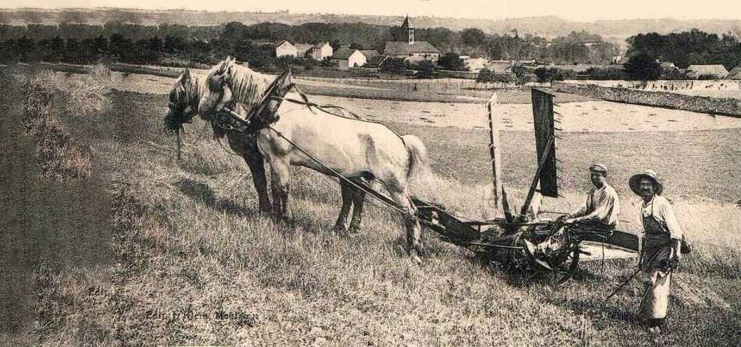 Rendez-vous du Vexin français