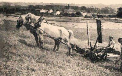 Rendez-vous du Vexin français